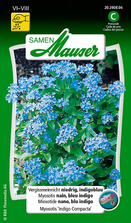 Image of Samen Mauser Vergissmeinnicht niedrig, indigoblau Blumensamen