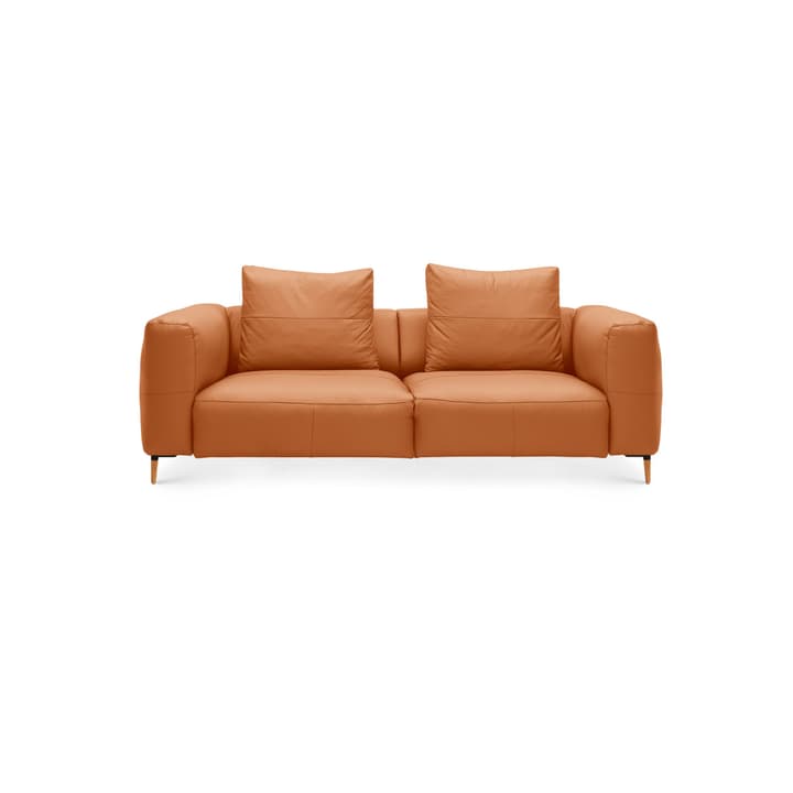 LOUIE Canapé 2.5 places LOUIE Canapé 2.5 places 360512725755 Dimensions L: 214.0 cm x P: 100.0 cm x H: 69.0 cm Couleur Cognac Photo no. 1