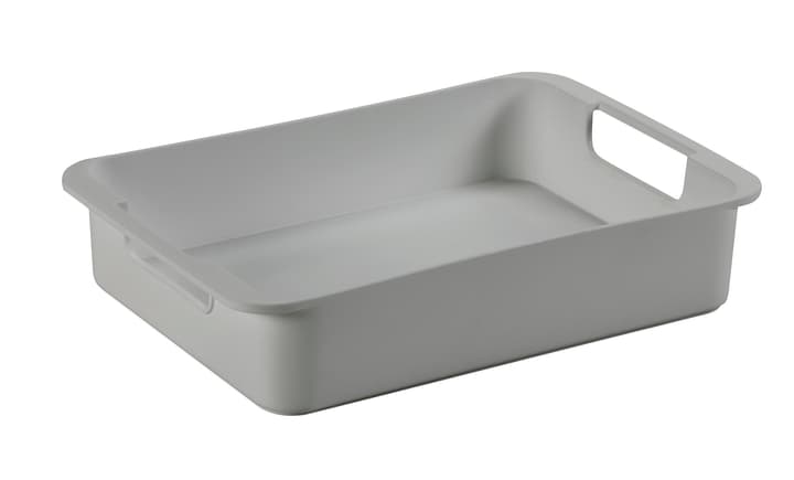 Image of Sigma home Tray M Einsatz bei Do it + Garden von Migros