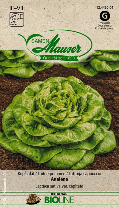 Image of Samen Mauser BIO Kopfsalat Analena Gemüsesamen