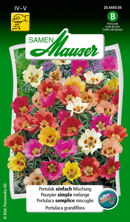 Samen Mauser Portulak einfach Mischung Blumensamen