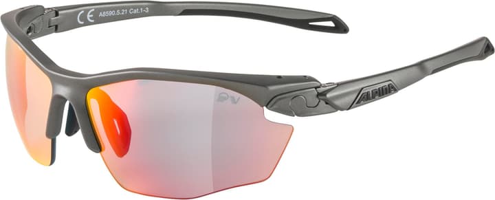 Image of Alpina Twist Five HR QV Sportbrille grau