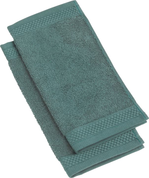 NEVA Waschlappen NEVA Waschlappen 450849720163 Farbe Dunkelgrün Grösse B: 30.0 cm x H: 30.0 cm Bild Nr. 1