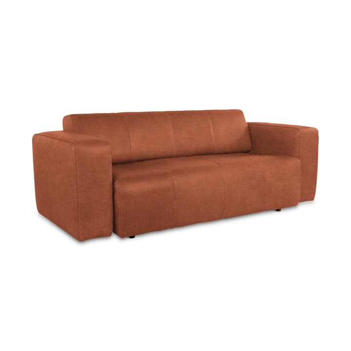 CAMP II 2.5er Ledersofa ohne Motor CAMP II 2.5er Ledersofa ohne Motor 360050895001 Grösse B: 217.0 cm x T: 100.0 cm x H: 70.0 cm Farbe Braun Bild Nr. 1