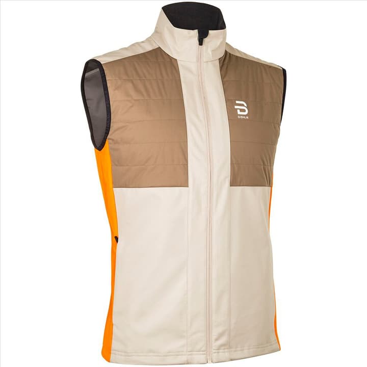 Image of Daehlie M Vest Aware Langlaufweste ecru