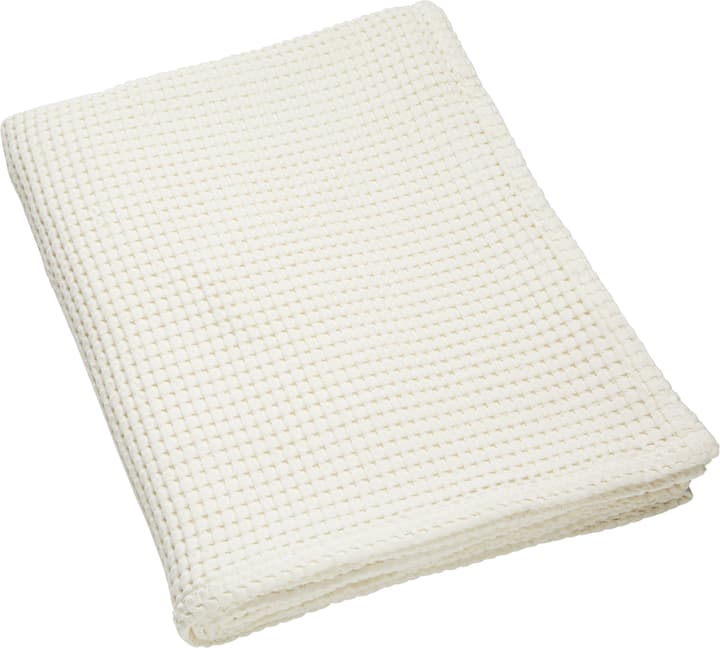 VALERIANO Decke VALERIANO Decke 451632843311 Grösse B: 150.0 cm x H: 200.0 cm Farbe Weiss Bild Nr. 1