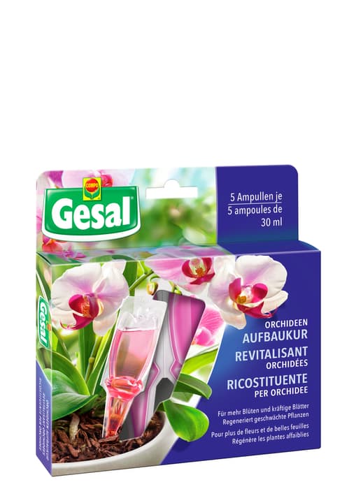 Image of Compo Gesal Orchideen Aufbaukur, 5x30 ml Flüssigdünger bei Do it + Garden von Migros