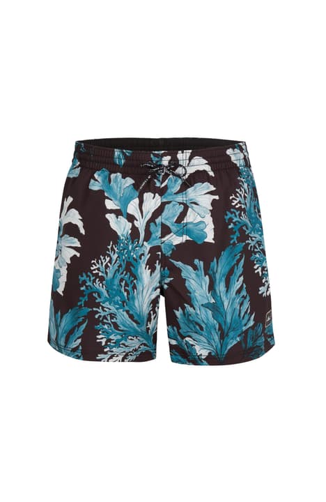 Image of O'Neill Origin Oyster Shorts Badeshorts schwarz bei Migros SportXX