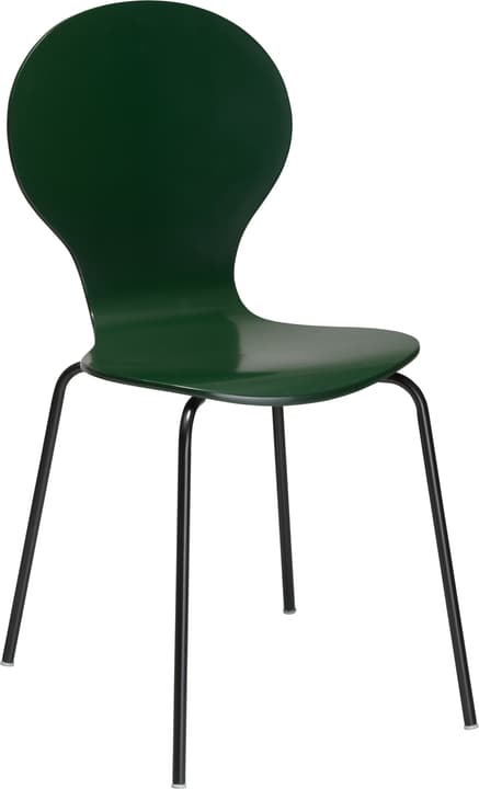 JACOBI Chaise JACOBI Chaise 403827506020 Dimensions L: 46.0 cm x P: 44.0 cm x H: 85.0 cm Couleur Vert Photo no. 1