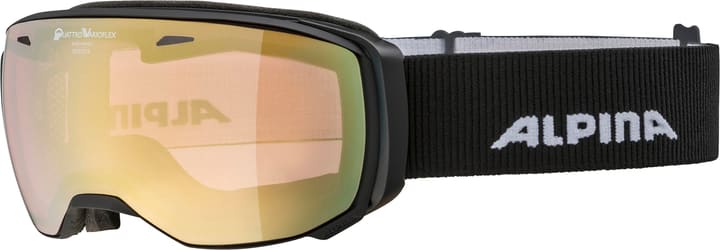 Image of Alpina Estetica QVM Skibrille / Snowboardbrille kohle
