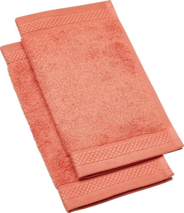 NEVA Lavette a guanto 2 pezzi NEVA Lavette a guanto 2 pezzi 450849720134 Colore Arancione Dimensioni L: 30.0 cm x A: 30.0 cm N. figura 1