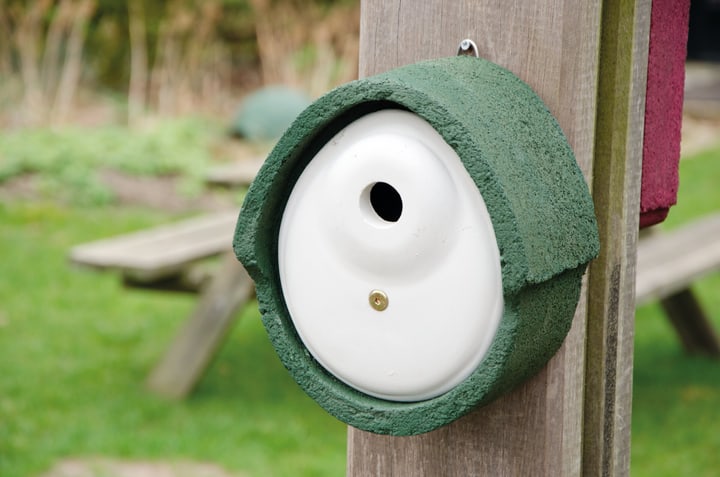 Image of Oval Nistkasten bei Do it + Garden von Migros