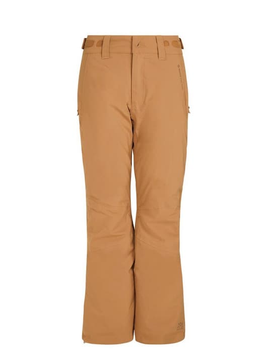 Image of Protest Carmacks snowpants Skihose caramel