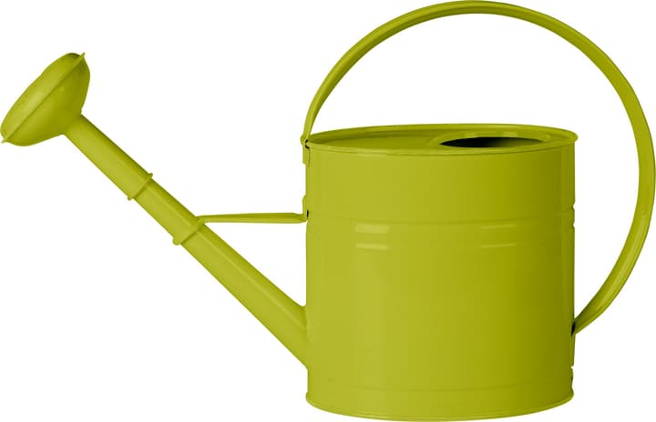 Image of 4 L Giesskanne