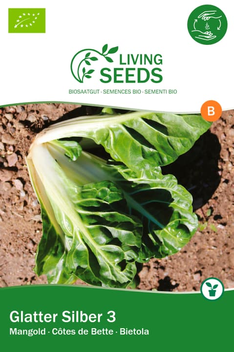Image of Living Seeds Mangold, Glatter Silber 3 Gemüsesamen