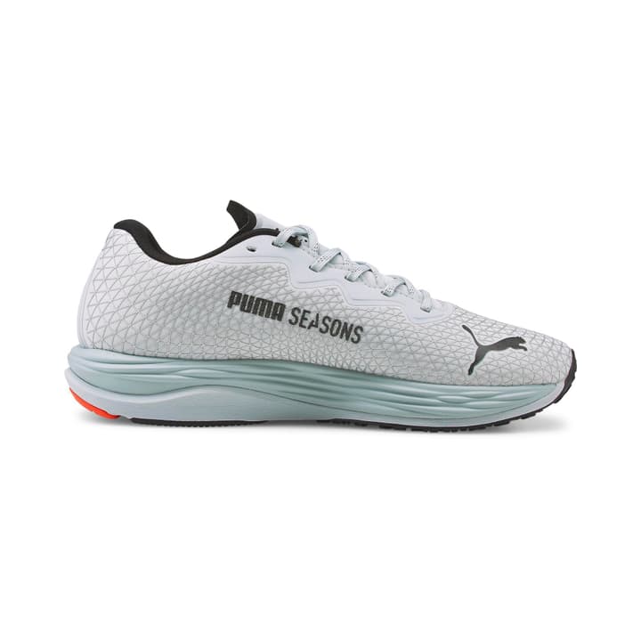 Image of Puma Velocity Nitro 2 GTX Runningschuhe grau