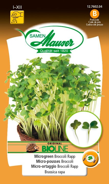 Image of Samen Mauser BIO-Microgreen Broccoli Rapp Microgreen