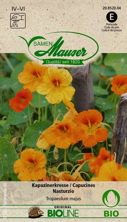 Image of Samen Mauser Kapuzinerkresse Blumensamen