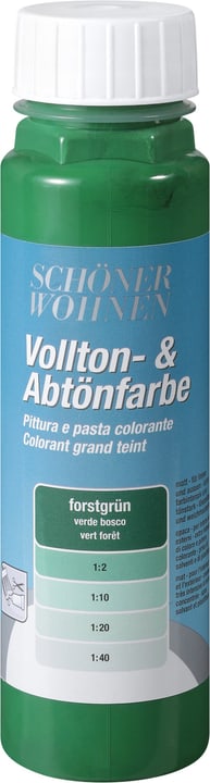 Schöner Wohnen Pittura pien e per digradazione Verde bosco 250 ml Pittura pien e per digradazione Verde bosco 250 ml Schöner Wohnen 660901800000 Colore Verde bosco Contenuto 250.0 ml N. figura 1