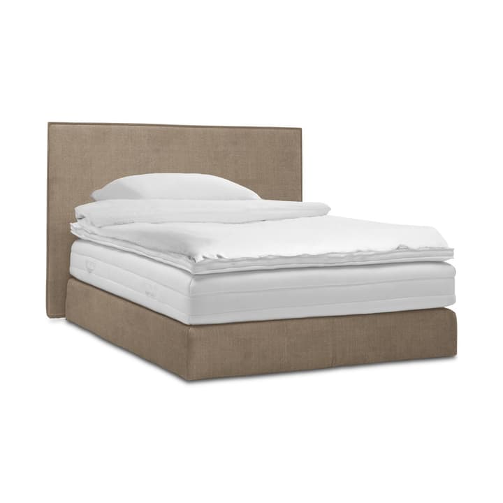 GRACE Boxspringbett GRACE Boxspringbett 364295200000 Grösse B: 200.0 cm x T: 160.0 cm Farbe Taupe Bild Nr. 1