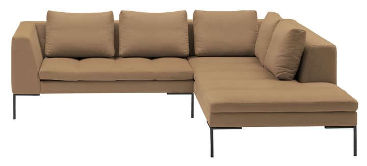 BADER Canapé d'angle BADER Canapé d'angle 405686450471 Dimensions L: 255.0 cm x P: 230.0 cm x H: 80.0 cm Couleur Marron clair Photo no. 1