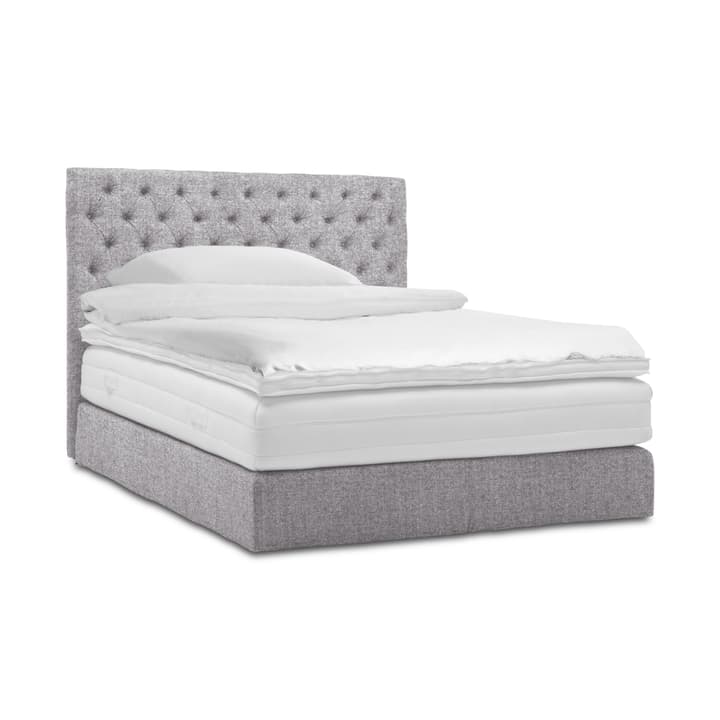 GRACE Boxspringbett GRACE Boxspringbett 364293100000 Grösse B: 200.0 cm x T: 160.0 cm Farbe Hellgrau Bild Nr. 1