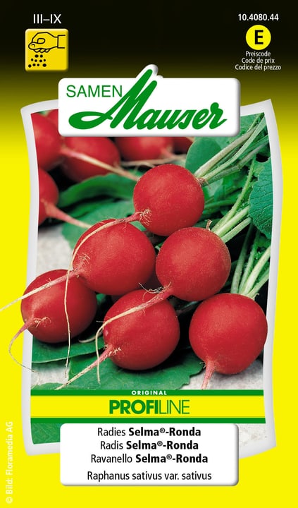 Image of Samen Mauser Radies Selma®-Ronda Gemüsesamen