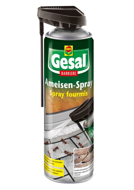 Image of Compo Gesal Ameisen-Spray BARRIERE, 500 g Ameisenbekämpfung bei Do it + Garden von Migros