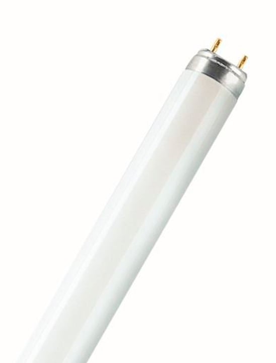 Image of Osram FL T8 G13 36W 880 FL-Röhre bei Do it + Garden von Migros