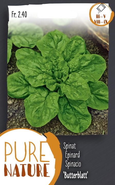 Image of Spinat ‘Butterblatt’ Frühjahr Herbst 20g Gemüsesamen bei Do it + Garden von Migros