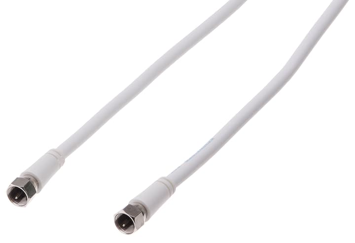 Image of Schwaiger SAT-Anschlusskabel 3 m SAT-Kabel bei Do it + Garden von Migros