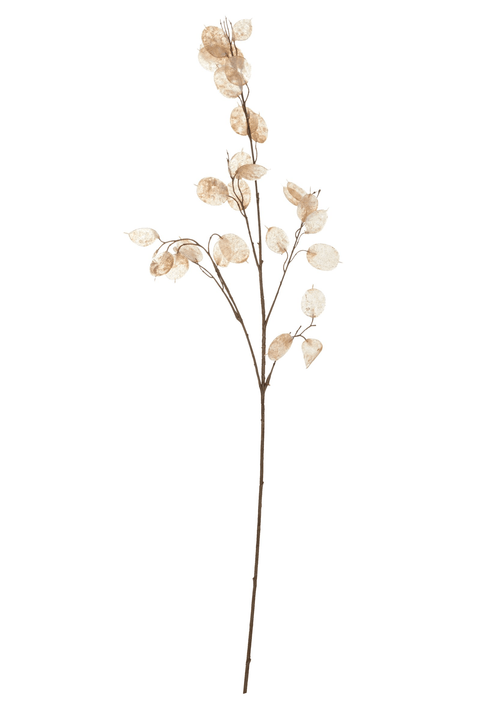 LUNARIA Kunstblume LUNARIA Kunstblume 440721600000 Bild Nr. 1