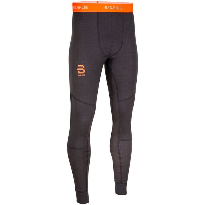 Image of Daehlie M Performance-Tech Pant Hose dunkelgrau
