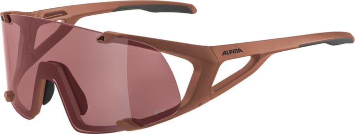 Image of Alpina Hawkeye Q-Lite Sportbrille rot