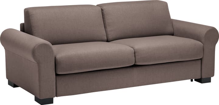 OPUS Canapé-lit OPUS Canapé-lit 402933300000 Couleur Marron Dimensions L: 222.0 cm x P: 204.0 cm x H: 82.0 cm Photo no. 1