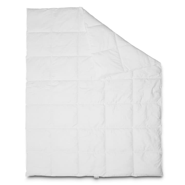 DREAM FIBRE WARM Couette synthétique de luxe DREAM FIBRE WARM Couette synthétique de luxe 376058600000 Dimensions L: 240.0 cm x L: 240.0 cm Couleur Blanc Photo no. 1