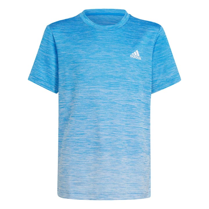 Image of Adidas Aeroready Gradient Tee Fitnessshirt blau bei Migros SportXX