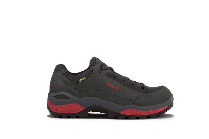 Lowa Renegade GTX Lo Chaussures polyvalentes pour homme Renegade GTX Lo Chaussures polyvalentes pour homme Lowa 460895347080 Couleur gris Taille 47 Photo no. 1