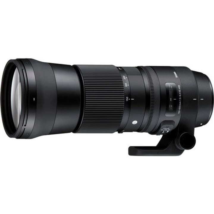 Sigma 150-600mm Contemporary F/5-6.3 DG OS HSM Nikon Objektiv 150-600mm Contemporary F/5-6.3 DG OS HSM Nikon Objektiv Sigma 785300126184 Bild Nr. 1