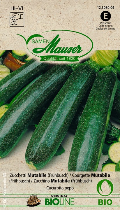 Image of Samen Mauser Zucchetti Mutabile (Frühbusch) Gemüsesamen