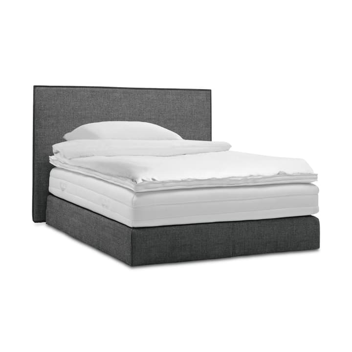 GRACE Boxspringbett GRACE Boxspringbett 364295800000 Grösse B: 200.0 cm x T: 160.0 cm Farbe Dark grey Bild Nr. 1