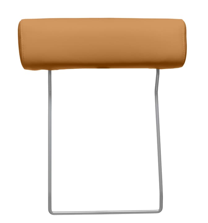 BADER Kopfstütze BADER Kopfstütze 405687382755 Farbe Cognac Grösse B: 55.0 cm Bild Nr. 1