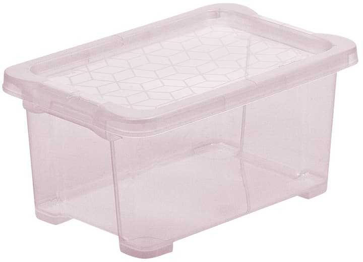 Image of Rotho EVO EASY Box 4 l mit Deckel Aufbewahrungsbox bei Do it + Garden von Migros