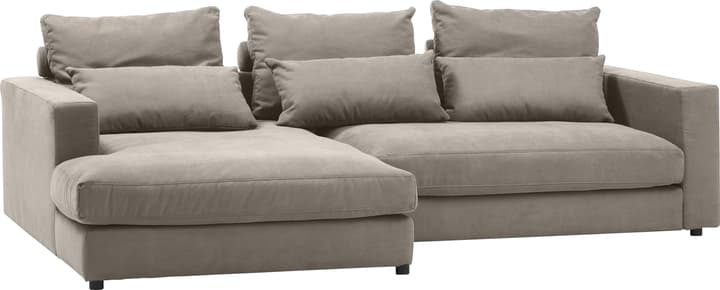 Ecksofa DARWIN