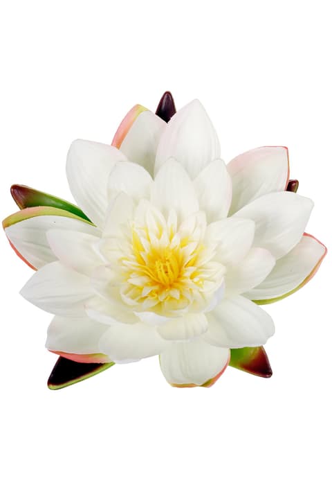 Image of Seerose schwimmend Kunstpflanze bei Do it + Garden von Migros