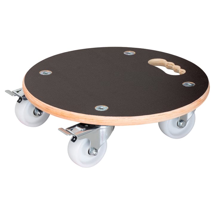 Image of Wagner System MaxiGrip Pflanzenroller bei Do it + Garden von Migros