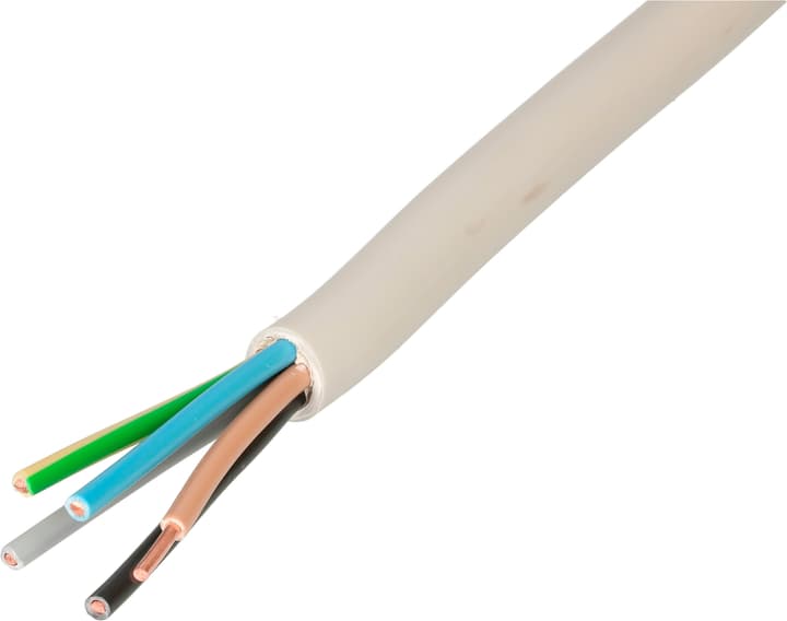 Image of Max Hauri CH-N1VV-U5G2.5 10 m TT Kabel bei Do it + Garden von Migros