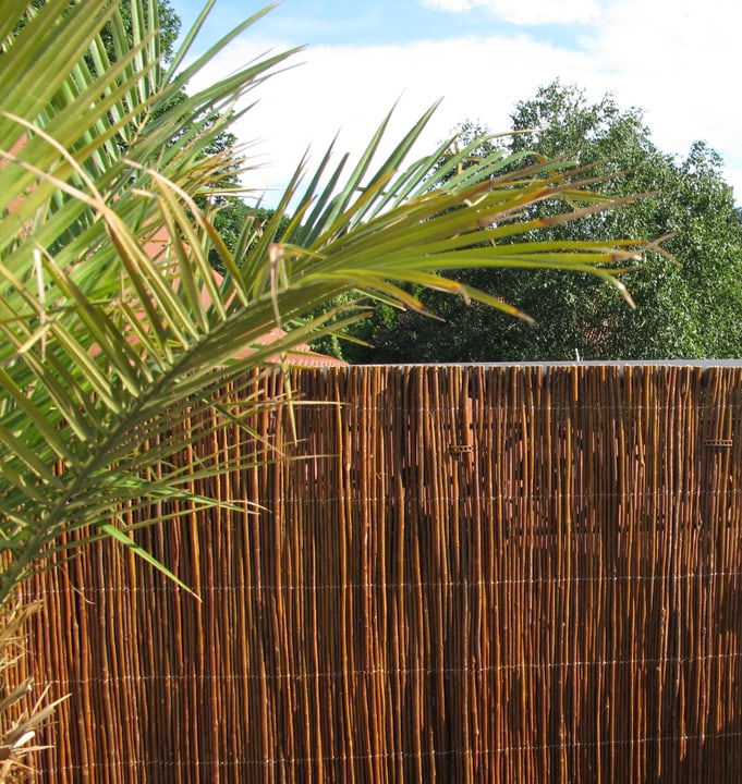Image of Videx Weidenmatte Provence 300 x 150 cm Sichtschutzmatte