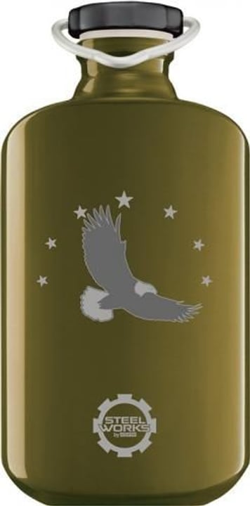 Sigg SIGG OVAL BOTTLE 0.6 L SIGG OVAL BOTTLE 0.6 L Sigg 47066830000008 Bild Nr. 1