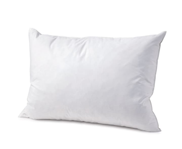 MEZZO forte Cuscino rigido con piumette MEZZO forte Cuscino rigido con piumette 451746310610 Colore Bianco Dimensioni L: 65.0 cm x P: 65.0 cm N. figura 1